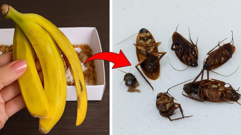 Dieser vergessene Trick verwandelt alte Joghurtbecher in stylische Aufbewahrungskörbe …