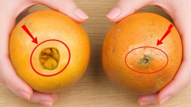 Diese einfache Methode hilft dir, immer die süßesten Orangen auszuwählen…