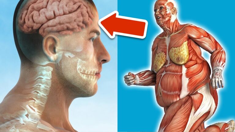 8 Schritte pro Tag für deine Gesundheit: So einfach bleibst du fit und vital!