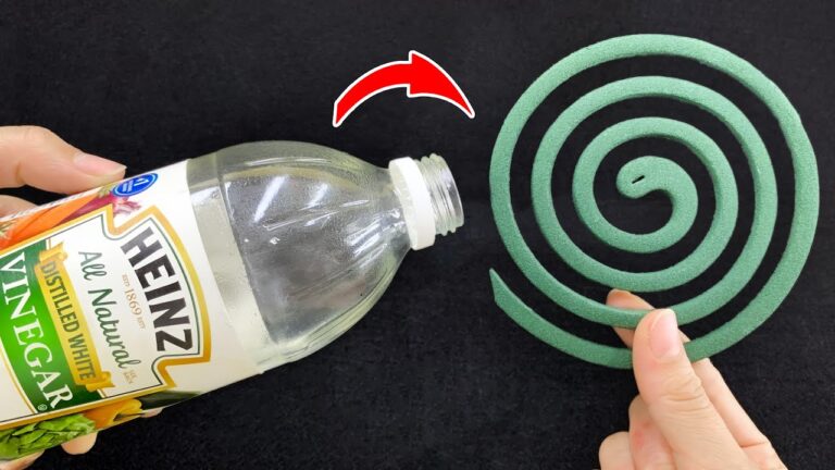 14 geniale Home Hacks, die deinen Alltag revolutionieren werden!