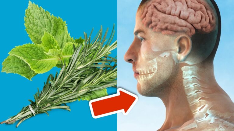 5 überraschende Vorteile von Rosmarin und Minze für deine Gesundheit
