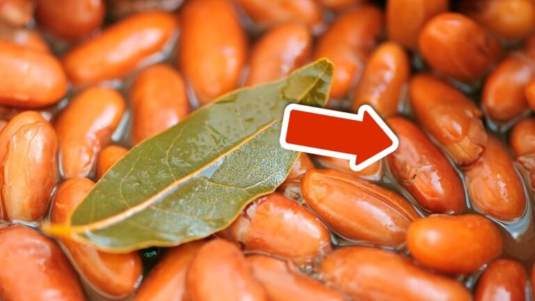 7 geniale Gründe, warum ein Lorbeerblatt deine Suppe verbessert!🌱