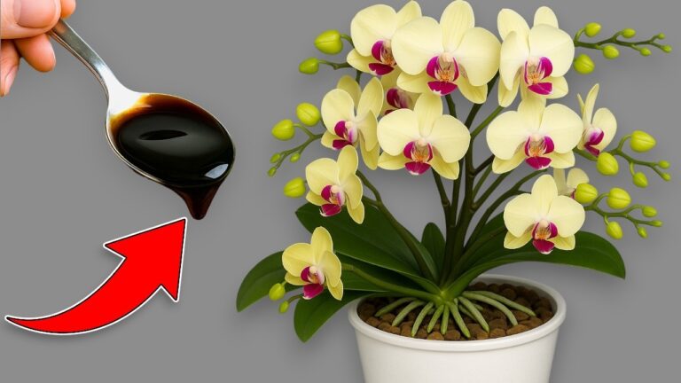 1 Löffel reicht! Erfahre, wie 100 Wurzeln in deinem Garten blühen können