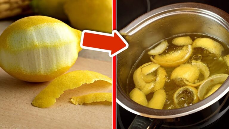 Koche 3 einfache Rezepte mit Zitronenschalen für überraschende Ergebnisse!