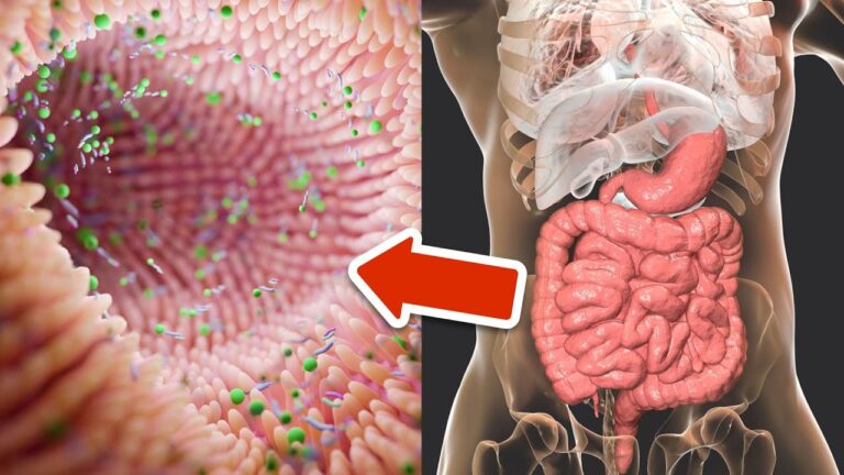 5 effektive Tipps zur sofortigen Verbesserung deiner Darmgesundheit! 💥