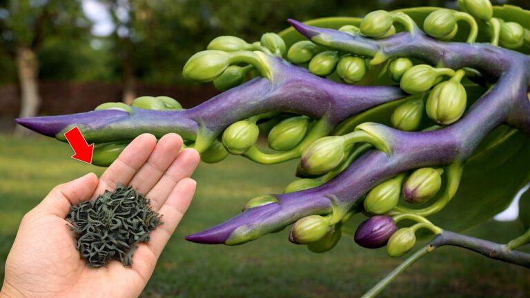 Entfessle die Kraft: 5 Tipps für atemberaubende Orchideenblüte!