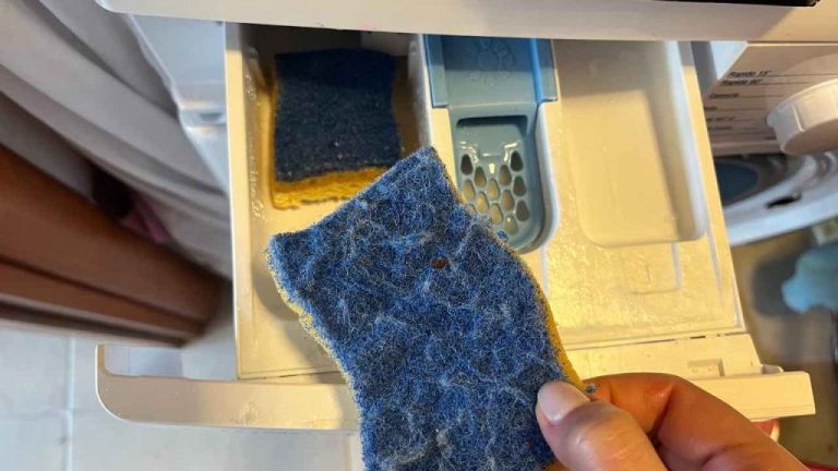 So bringen zwei Geschirrspülen im Geschirrspüler frisch duftende Wäsche