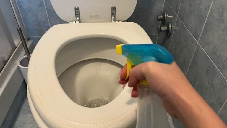 Beseitigen Sie hartnäckige Flecken: So wird Ihre Toilette strahlend weiß