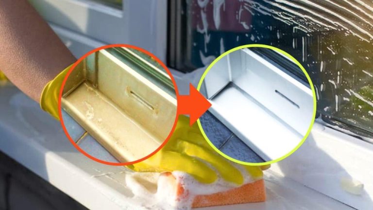 Fensterscheiben wieder strahlend putzen: So gelingt’s im Handumdrehen