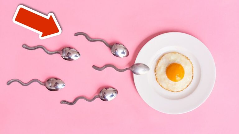 7 geniale Tipps zur massiven Steigerung deiner Spermienanzahl! 💥