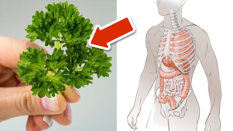 6 Gründe, warum Petersilie dein Gesundheitsgeheimnis ist! Entdecke die Vorteile!