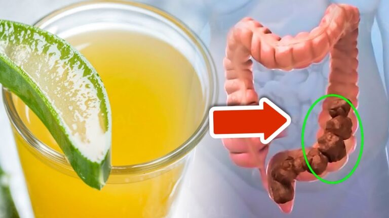 4 effektive natürliche Abführmittel für eine sanfte Darmreinigung
