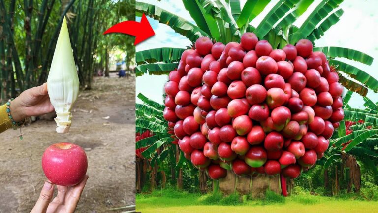 Entdecke 5 Geheimtipps für fruchtige Ernten mit Aloe Vera und mehr!