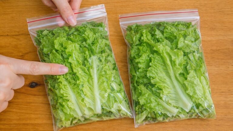5 Tipps, um deinen Salat wochenlang frisch und knackig zu halten!