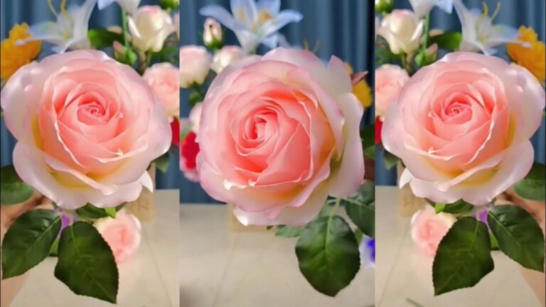 10 einfache Schritte: DIY feuchtigkeitsspendende Rosenblüten selbst machen!