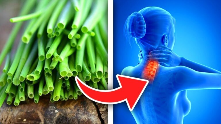 Jeden Tag Schnittlauch: 5 verblüffende Ergebnisse für deine Gesundheit entdecken!