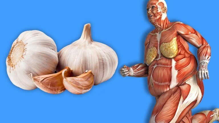 Die erstaunlichen 5 Vorteile von Knoblauch und Honig für deine Gesundheit!