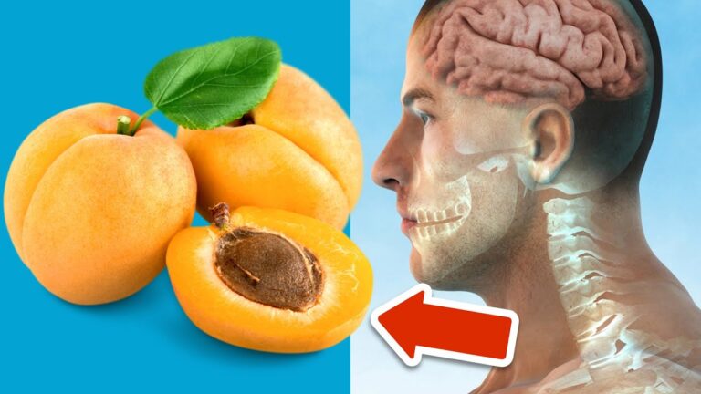 7 Gründe, warum mehr Aprikosen dein Leben verändern können! 🍑✨