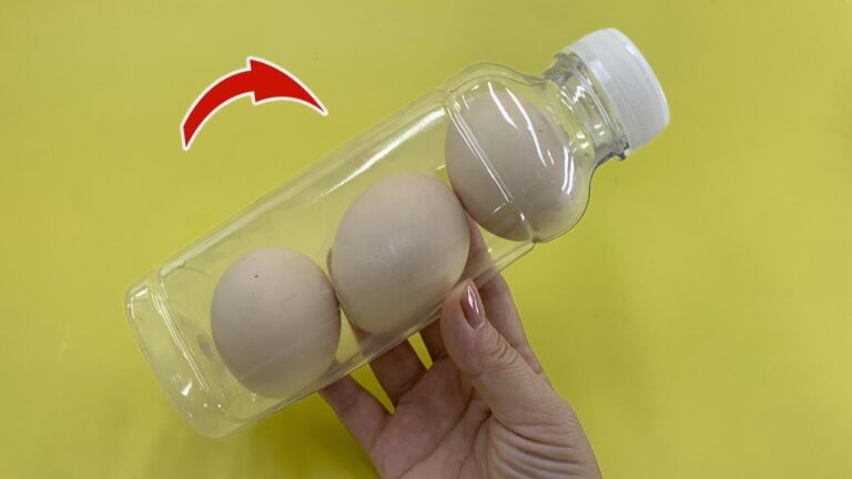 12 geniale Ideen für leere Plastikflaschen, die du unbedingt ausprobieren solltest!