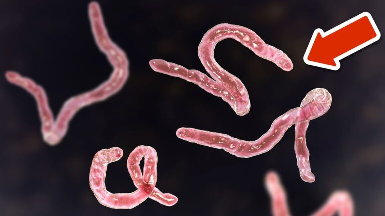 6 Warnsignale: Bist du bereit für eine essentielle Parasitenreinigung?