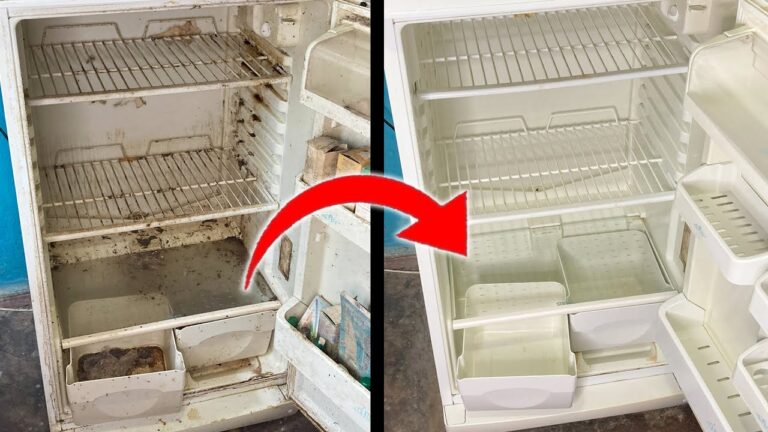 So reinigst du einen Kühlschrank (einen sehr schmutzigen Kühlschrank reinigen)