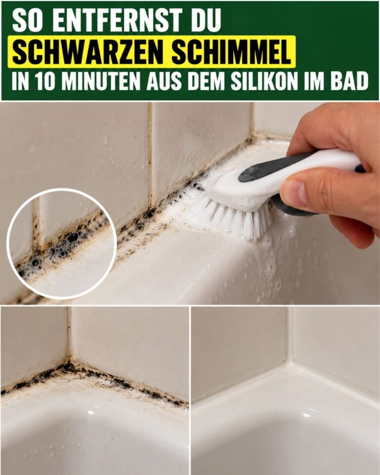 So entfernst du schwarzen Schimmel in 10 Minuten aus dem Silikon im Bad