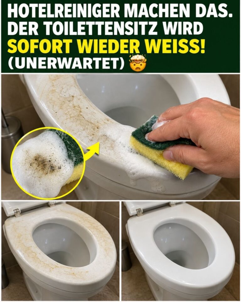 Hotelreiniger machen das. Der Toilettensitz wird sofort wieder WEISS!💥(UNERWARTET)🤯