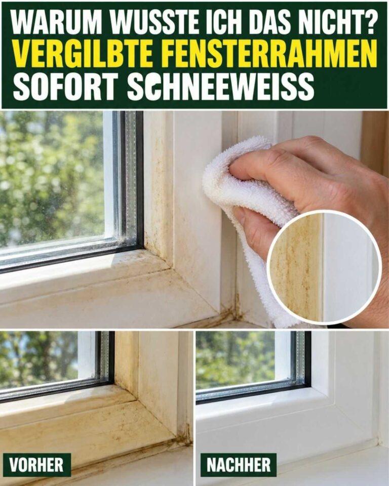 Warum kannte ich das nicht? Vergilbte Fensterrahmen werden schnell wieder schneeweiß